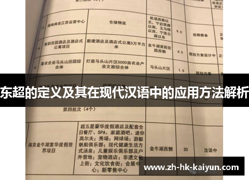 东超的定义及其在现代汉语中的应用方法解析